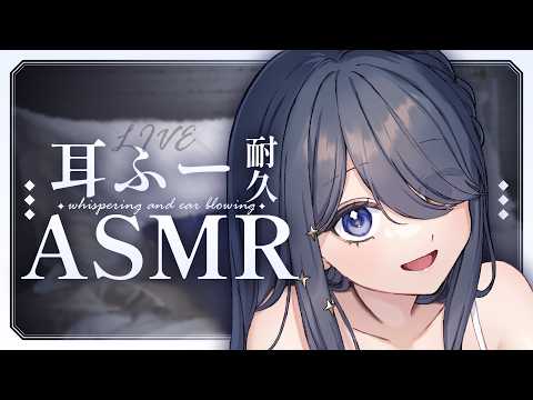 Kiritsuki Lil / 霧月リル 
