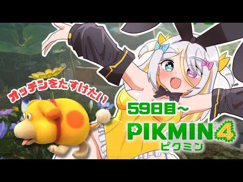 蜂蜜ぷりん / Hachimitsu Purin