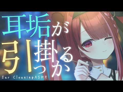 Yuni CH. 切熊ゆに