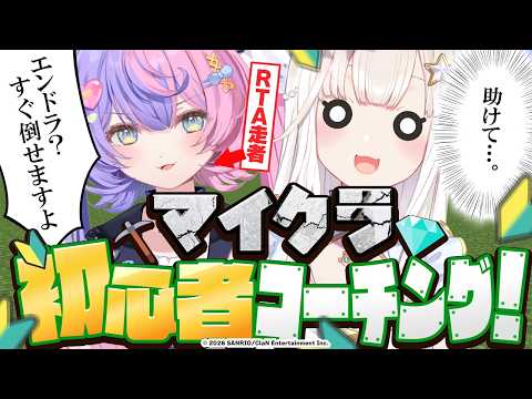 ニャマルベール・ペルル