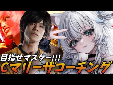 氷猫みう