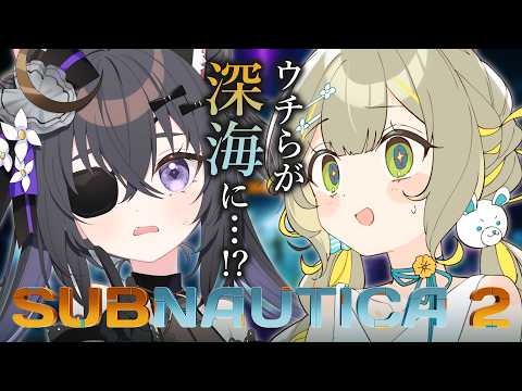 HONOKA Ch. 陽茅ほのか