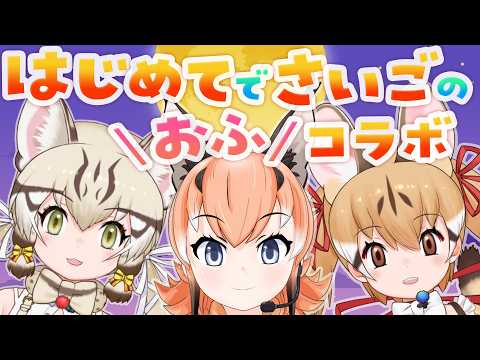 カラカル / Caracal