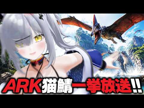 猫元パト / Patoneko Ch.