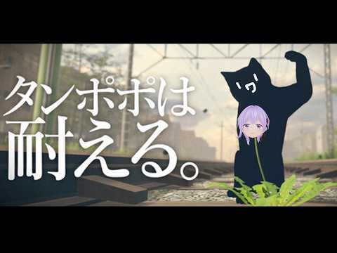 朝ノ姉妹ぷろじぇくと