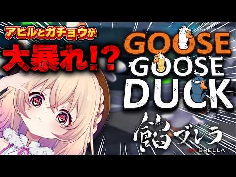 Riel Ch. 桃園りえる