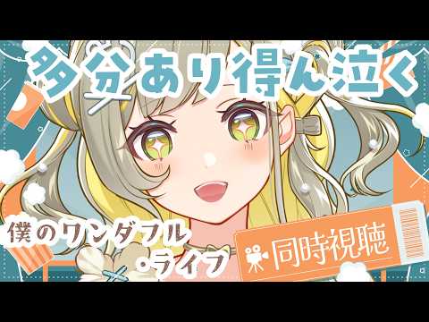 HONOKA Ch. 陽茅ほのか