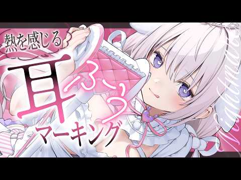 なぃとめあ - めあちゃんASMR -
