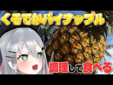 今夜、僕が頂くのはくそでかパイナップルです【 #実写配信 / #山黒音玄 】