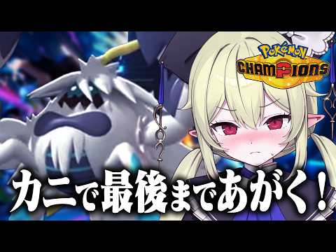 ロロ・オリフィス / Lolo Orifice