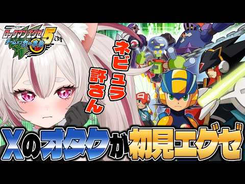 数寄屋橋れんげ / Sukiyabashi Renge