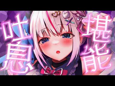 Toiki Ch. 夜想といき