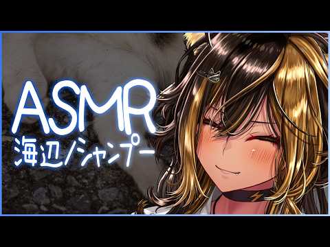 ⚡ASMR / 猫族店 海辺シャンプー - Shampoo -⚡【猫小夜くろえ/Vtuber】