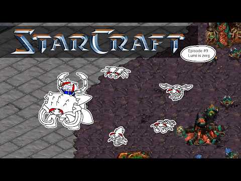 [PC] Starcraft (1998) #9