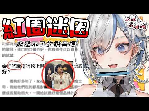 鷲峰良 - Washimineryo