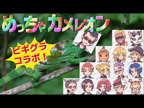 【めっちゃカメレオン/ビギニングラセフ】ビギグラコラボ！棗いつきさん主催で初めちゃカメ！【哀川ジョー/ルキ・ルクス視点】