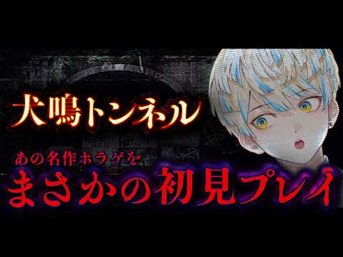 緋八マナ / Hibachi Mana【にじさんじ】