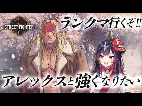 Kyoka Ch. -響架-