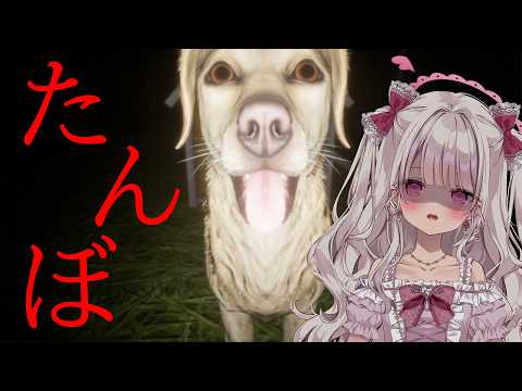 鏡愛しゅくり