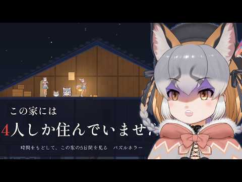 シマハイイロギツネ / Island Fox
