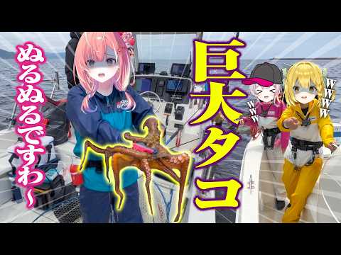 【タコエギ】初心者釣りガールが初めてタコ釣りをした結果…【#うおむすめ /紅波マダイ 2鯛目】