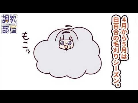 しらゆりヘブンちゃんねる