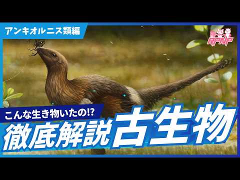 白亜マウルの古生物学チャンネル