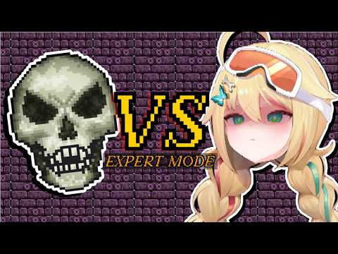 Grease Monkey vs. Skeletron Terraria Expert Mode!