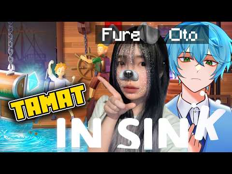 GAME TAMAT, APIPI LANJUT @Otodamshh | IN SINK CO-OP