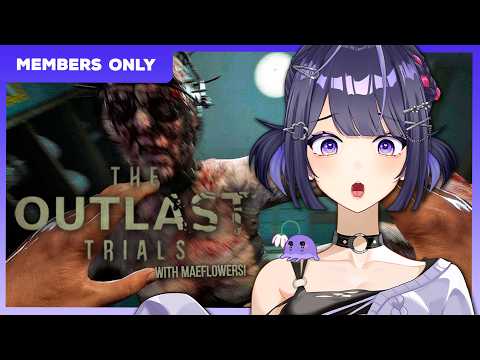 MaeFae【Aegis-Link】