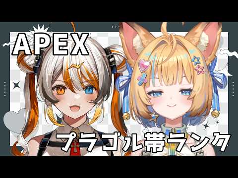 偉雷アマエ / Erai Amae