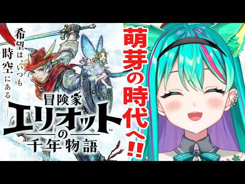 猫星ミント / Mint Ch.