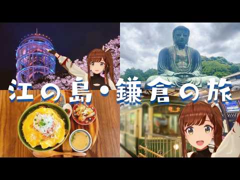 白藤環