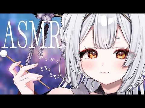 Toto Ch.  兎神とと