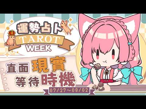 【一周運勢】現實比夢更該先顧及,穩扎工作吧,孩子們。【塔羅占卜】【櫻野露】