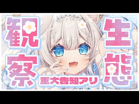 ニリム・スノーメルト / Nilim Snowmelt