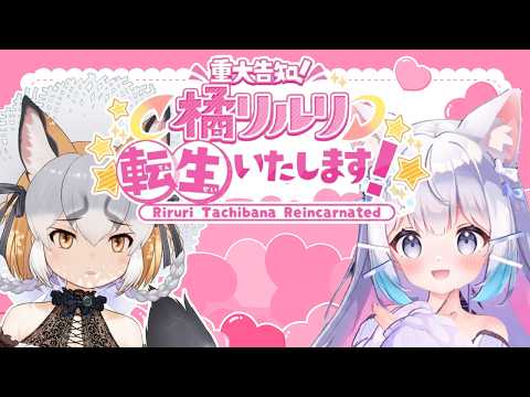 【重大告知】橘リルリ転生いたします!【#シマハイシン/シマハイイロギツネ】