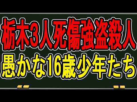 犯罪学教室のかなえ先生 V Criminologist