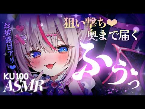 Toiki Ch. 夜想といき
