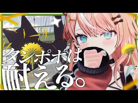 五十嵐梨花 / Igarashi Rika 【にじさんじ】