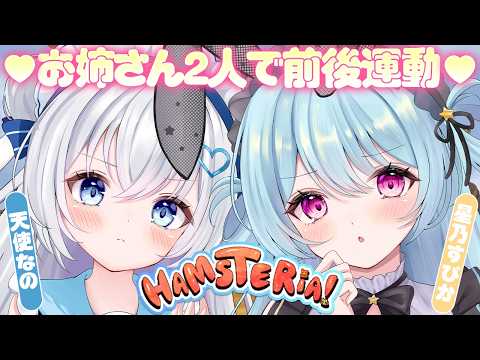 Supika ch. / 星乃すぴか