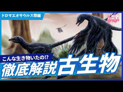 白亜マウルの古生物学チャンネル