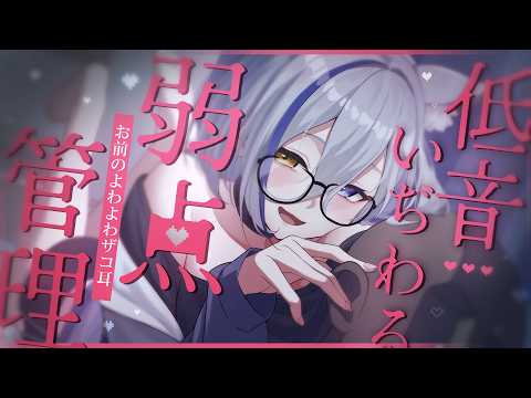 ろのみやひなぎく