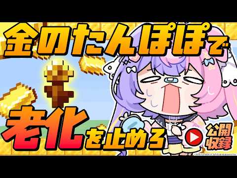 若魔藤あんず