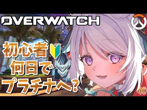 猫羽ころんNekohakoron
