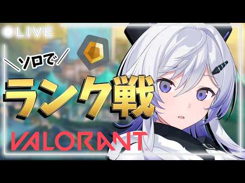 漆八ぷてら / Shichihachi Putera