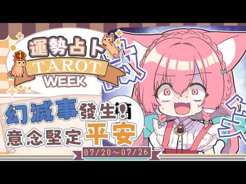 【一周運勢】幻滅之事開始浮現,意念堅定之人可保平安🌟貓貓們今天去看虎爺了嗎?【塔羅占卜】【櫻野露】