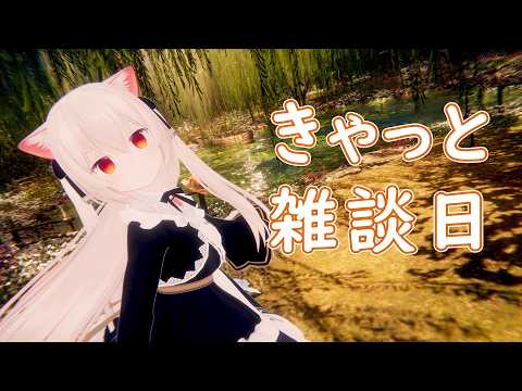 のらきゃっとチャンネル