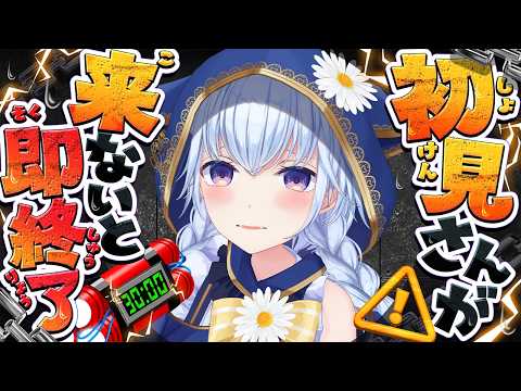 熊野ふぁい / Kumano Phay ch
