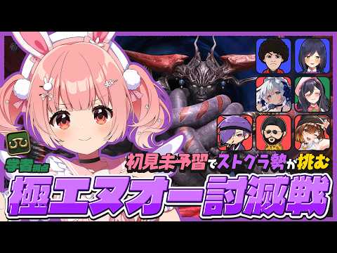 🎮 #FF14┊極エヌオー討滅戦最終リベンジ👊💥【 #小花衣ももみ / #Vtuber 】